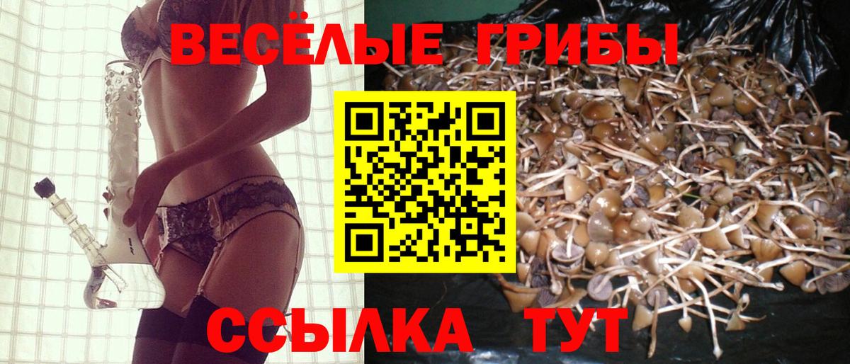 Галлюциногенные грибы GOLDEN TEACHER Новочебоксарск